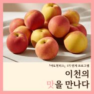 [어도헌터스 연계] 이천의 맛을 만나다(복숭아)